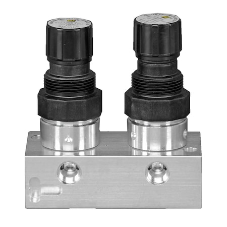 Master Pneumatic 2MAN ASSY 1/4IN, 1/8OUT R2T56M-1